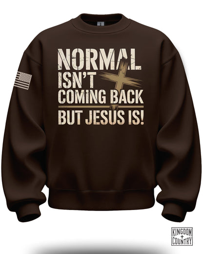 Normal Isn't Coming Back Crewneck