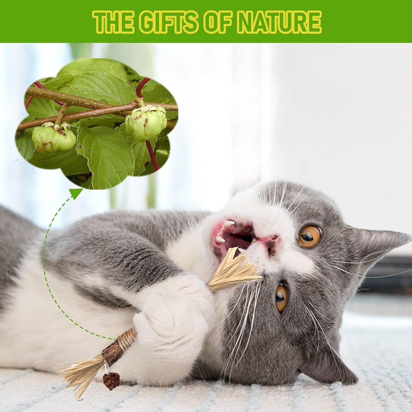 Natural Silvervine Chew Sticks – Organic Dental Treats for Cats