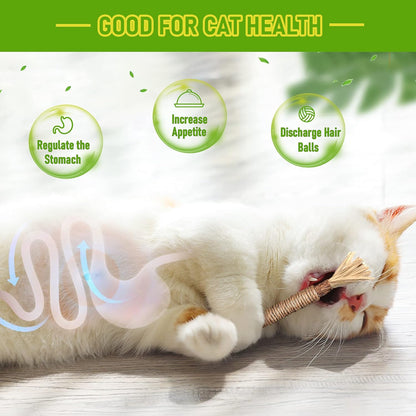 Natural Silvervine Chew Sticks – Organic Dental Treats for Cats