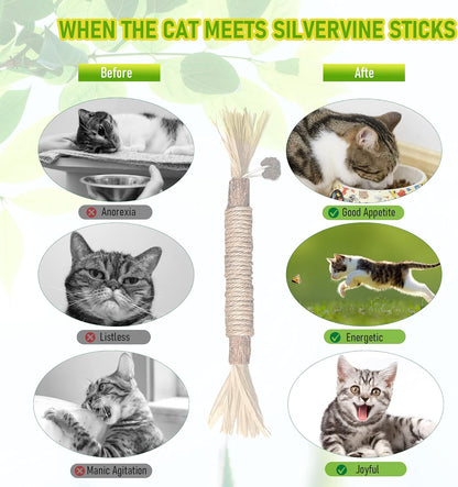 Natural Silvervine Chew Sticks – Organic Dental Treats for Cats