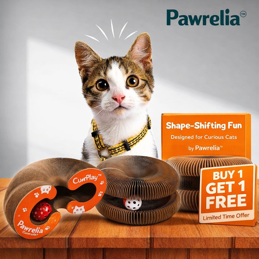 Aiitle Flexible Cat Scratcher Toy