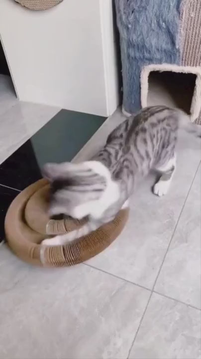 Aiitle Flexible Cat Scratcher Toy