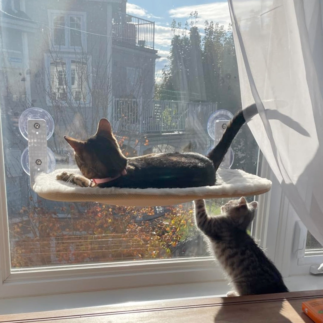 Pawrelia™ Foldable Cat Hammock